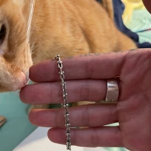 Tiffany Hardware silver micro link bracelet